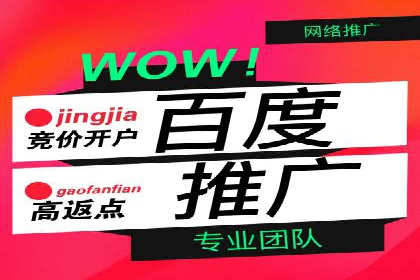 抖音信息流代理在电商行业的应用案例分析