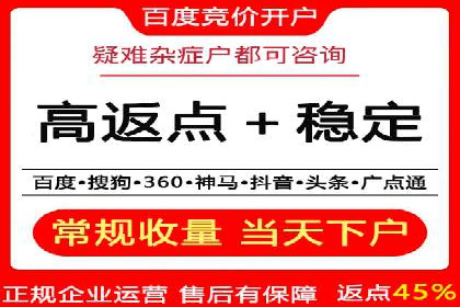 专业SEM代运营公司案例分析